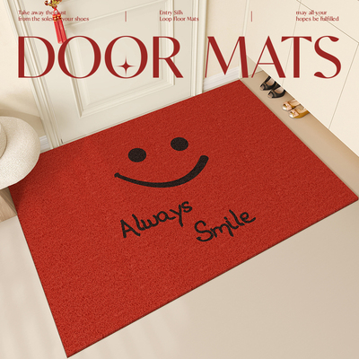 慢说入户门垫可裁剪丝圈