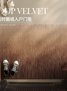 入户门地垫轻奢高级感复古地毯门垫进门门口防滑家用玄关脚垫耐脏