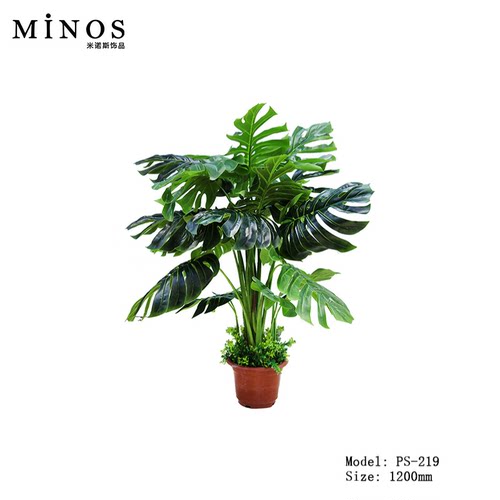假绿植万年青仿真植物