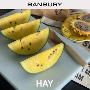 丹麦HAY 果冻彩色砧板 厨房托盘 面包盘 Slice