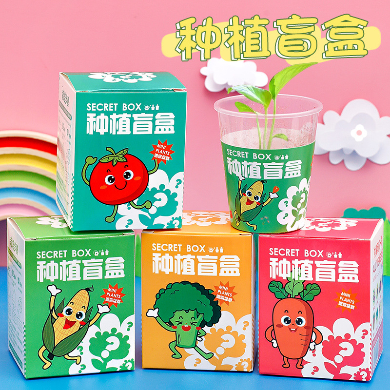 学生盲盒奖品儿童创意种植盆栽玩具小礼品幼儿园全班DIY手工礼物