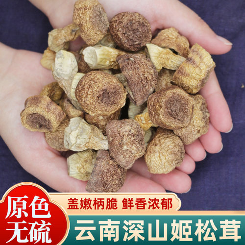 姬松茸干货云南野生菌松茸菇500g