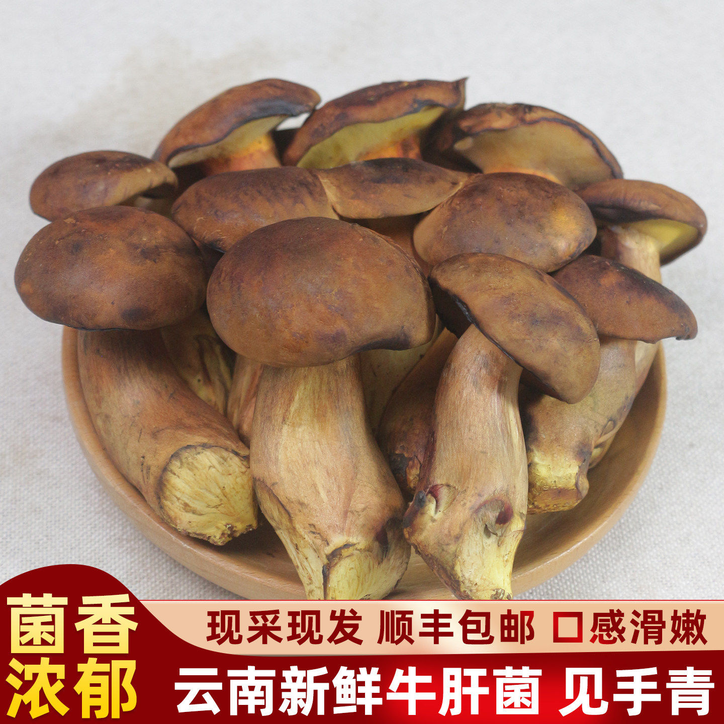 云南新鲜种植见手青500g黄牛肝菌