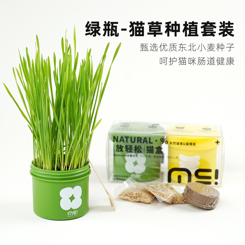 麻薯猫草盆栽小麦种子化毛懒人种植套装水培可食用猫薄荷成猫幼猫