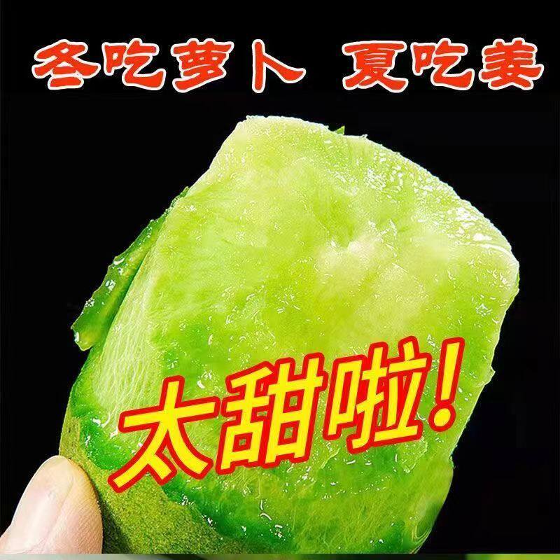 正宗天津水果萝卜七星萝卜金星萝卜新鲜生吃即食水果非潍坊青萝卜