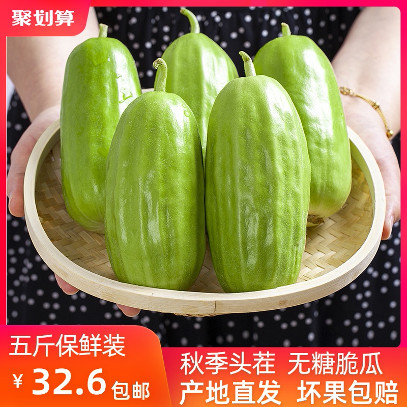 河北菜瓜脆瓜水果新鲜现摘孕妇老人生吃无糖烧瓜八棱脆非玉女甜瓜在类目 水产肉类/新鲜蔬果/熟食, 新鲜水果, 甜瓜中 - 来自Buy2taobao.com提供专业的淘宝代购服务