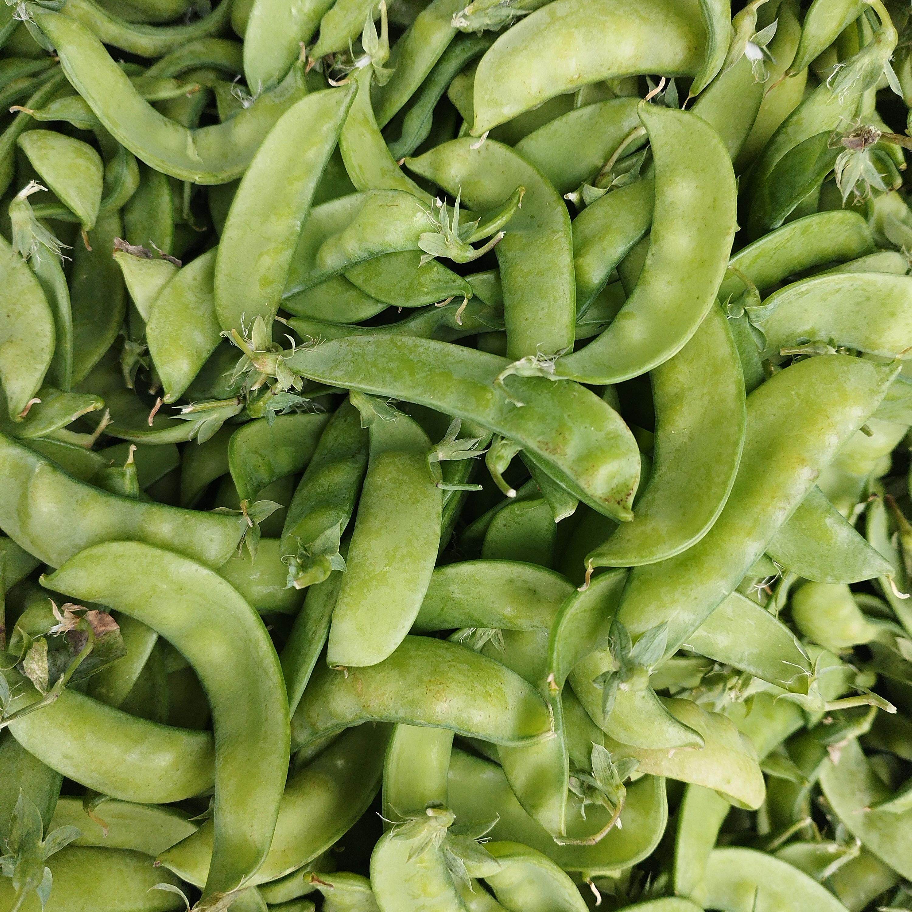 贵州现摘带壳豌豆新鲜青豌豆荚青豆荚青豆新鲜当季蔬菜农家自种菜