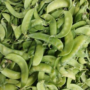 贵州现发甜豌豆新鲜青豌豆荚青豆荚青豆新鲜带壳吃农家自种菜