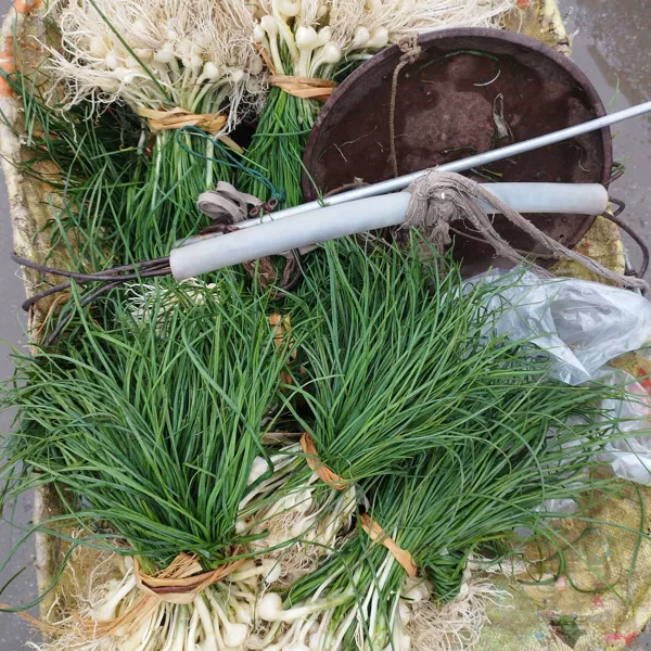 贵州新鲜现挖野葱 小根蒜 野生葱 白香葱 野菜包邮