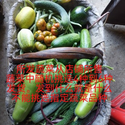 贵州农家新鲜应季蔬菜随机混合实惠装现摘现发包邮