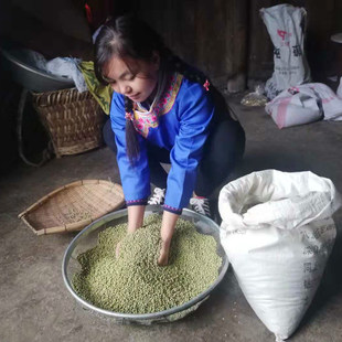 农家新鲜小粒老品种黄豆500g 豆芽 磨豆浆 4件包邮