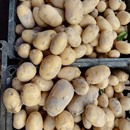 包邮 25年贵州平塘新鲜土豆5斤装 农家自种蔬菜黄心土豆马铃薯洋芋