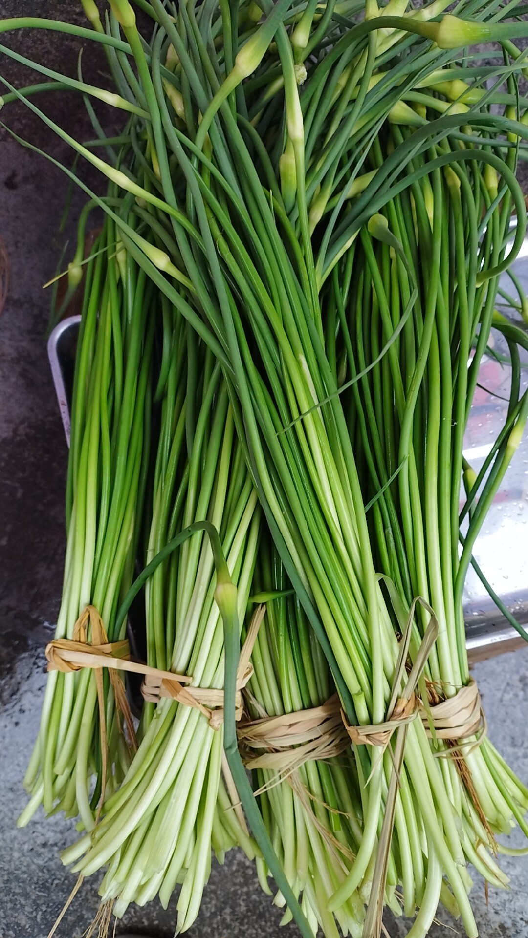 贵州农家自种露天蒜苔新鲜青菜蒜蒜芯毫蒜现摘现发顺丰包邮