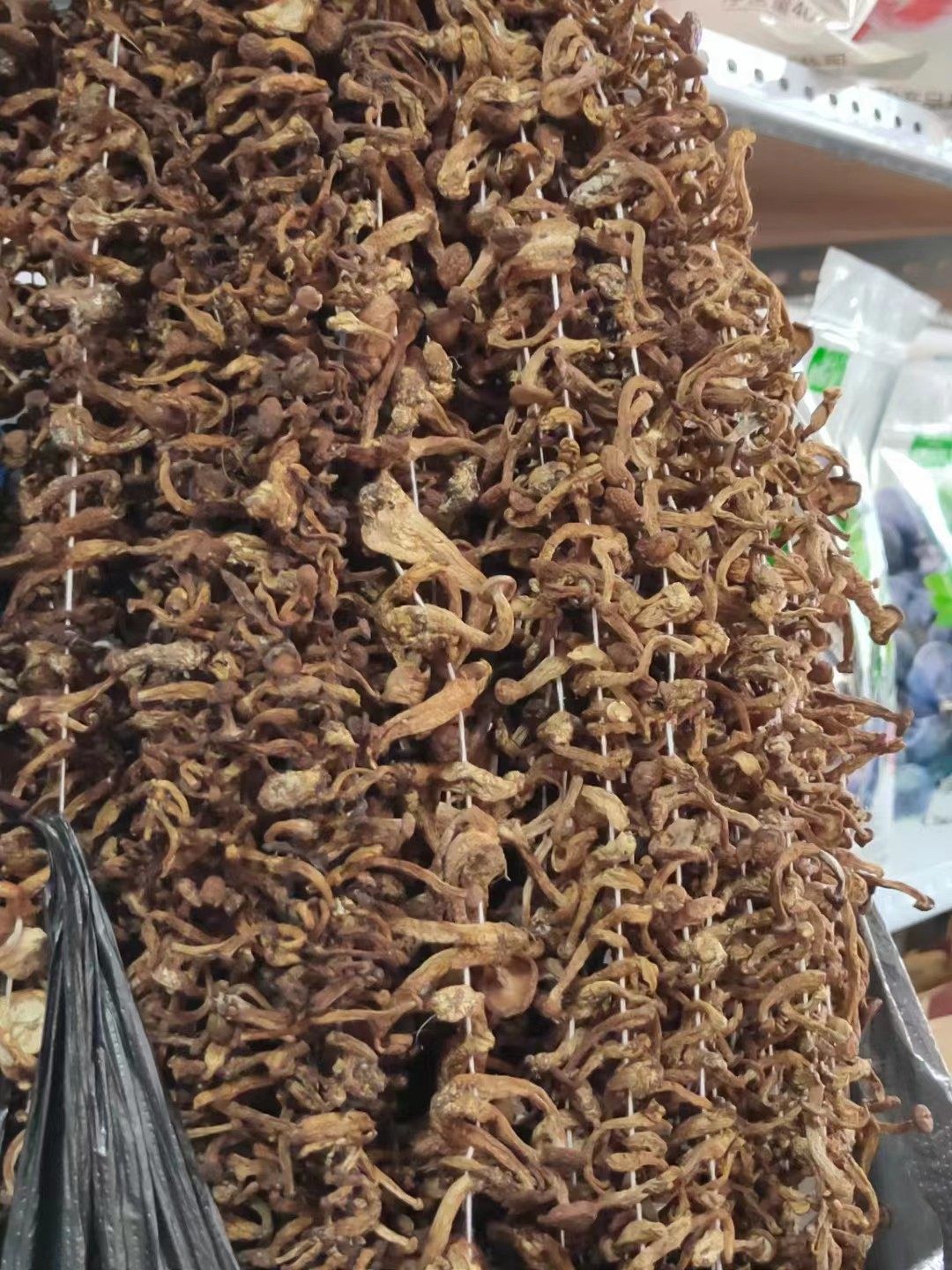 毛尖蘑菇精品!路基蘑    大兴安岭特产野生毛尖蘑 一袋500克包邮