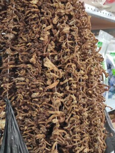 毛尖蘑菇精品！路基蘑    大兴安岭特产野生毛尖蘑 一袋500克包邮