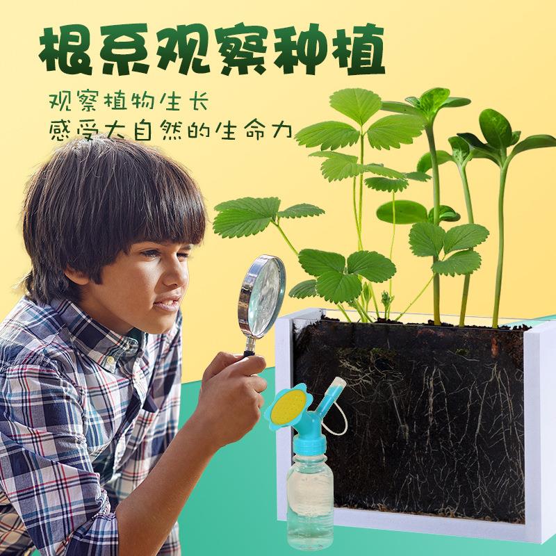 儿童发芽根系diy植物生长观察盒小农场幼儿园小学生种植种子盆栽 玩具/童车/益智/积木/模型 科学实验 原图主图