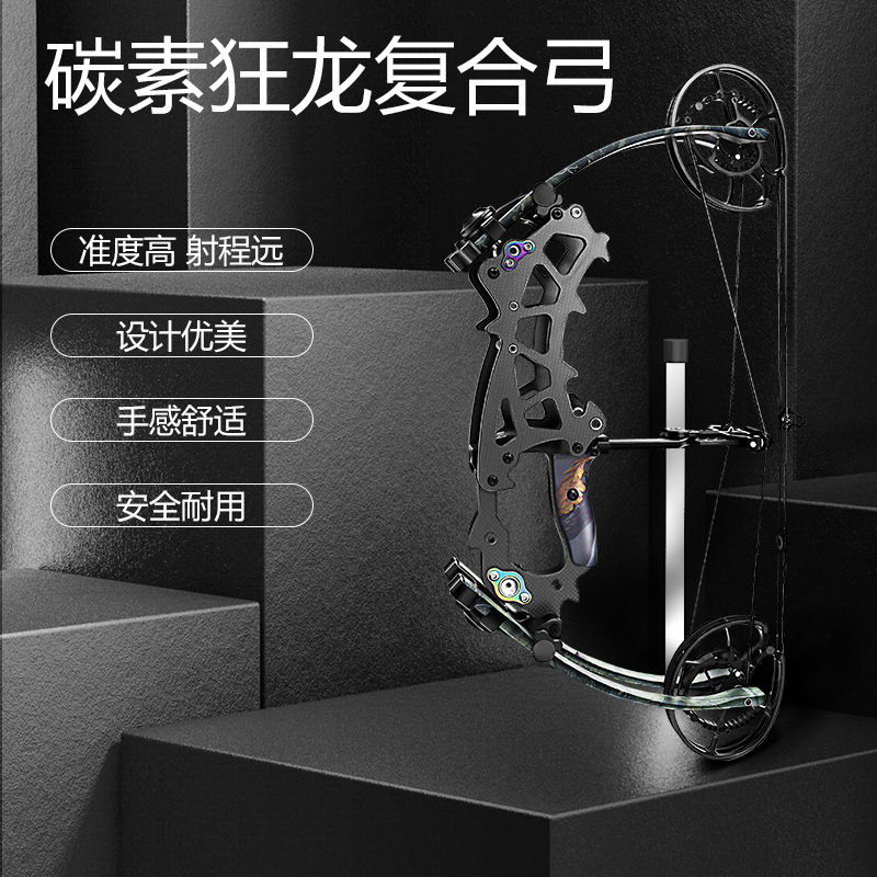狂龙两用复合弓箭野外户外射箭专弓
