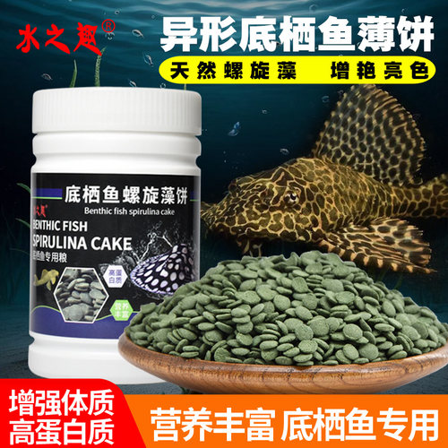 水之趣片状中国底栖鱼加速成长