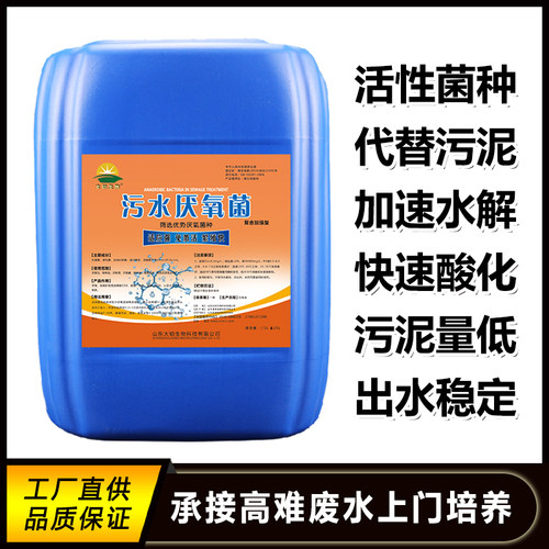 污水菌种污泥活性菌污水处理菌剂