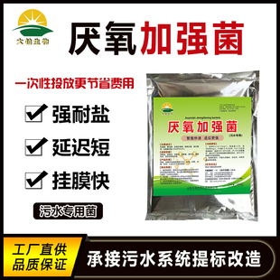 污水处理菌种厌氧菌高效去除CODBOD总氮磷生化池活性菌微生物菌剂