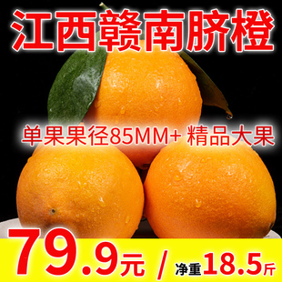 江西橙子赣南脐橙当季 新鲜水果现摘手剥橙产地直发18.5斤甜橙子