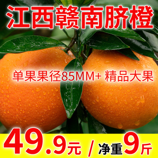 江西赣南脐橙手剥橙子新鲜当季 水果9斤精品大果产地直发甜橙18.5
