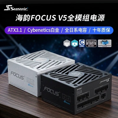 海韵电源FOCUSV5GX850白金电源