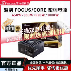 海韵CORE GX750W 650W电源FOCUS台式机电脑电源850w主机金牌1000W