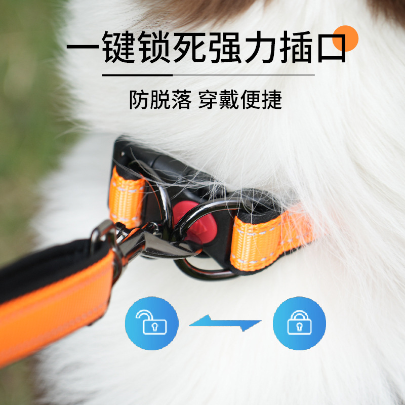 狗狗项圈宠物用品狗脖圈小狗狗牵引绳宠物外出反光防丢失狗绳