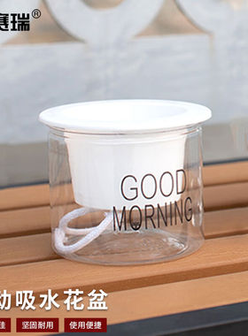 安赛瑞自动吸水花盆小型绿植水培塑料盆白色透明款3个装5E00358