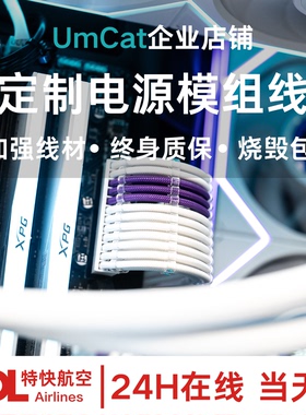 定制模组线海盗船安钛克海韵华硕追风者振华电源纯白编织包网线