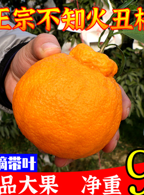 四川不知火丑橘丑哭橘甜丑桔子丑八怪当季水果新鲜5-10斤整箱包邮