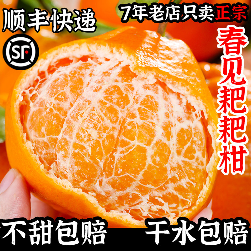 四川春见耙耙柑粑粑柑杷杷柑正宗新鲜当季整箱桔子旗舰店18斤柑橘