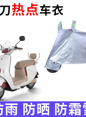 适用小刀热点TDT24322Z电动车防晒车衣XD1000DQT-55遮阳防水罩