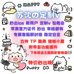 特价秒出/定制v/ios定制/酸果/美化主题/猪咪/菠萝/苹果个人证书