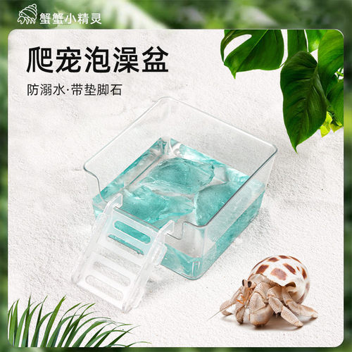 寄居蟹澡盆带垫脚石爬宠亚克力爬梯海水螃蟹相守蟹泡澡专用泡澡盆