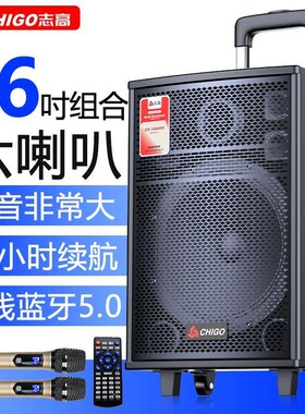 志高广场舞音响高音质大音量户外