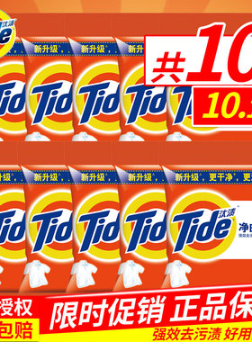 汰渍洗衣粉508g*10袋净白去渍整箱批家庭装香味持久正品