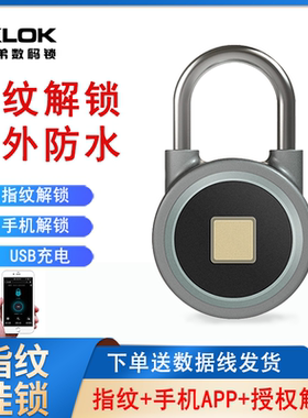 智能电子小锁头远程授权蓝牙指纹挂锁家用学生宿舍储物柜