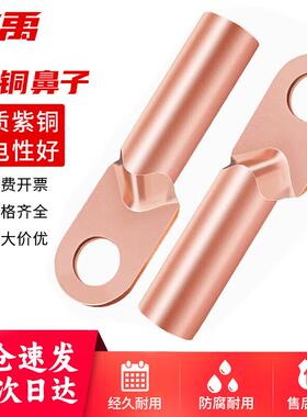 冰禹BYyc-15DT铜鼻子电缆接头DT-16平方铜接线端子线鼻子酸洗堵油