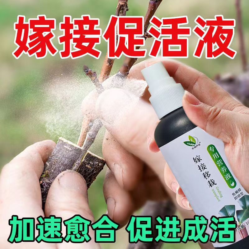 心动声音植物嫁接促活液包邮