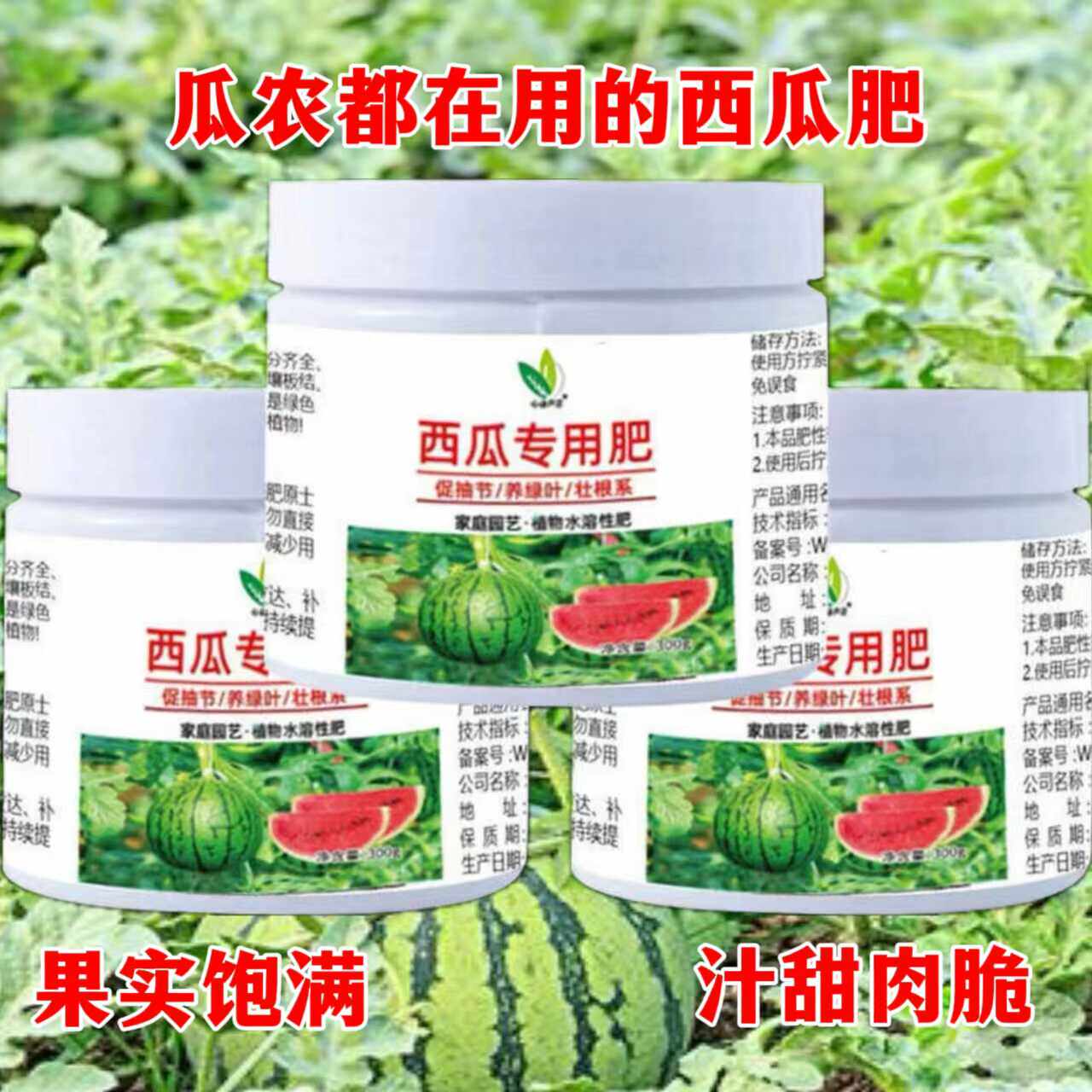 通用型盆栽植物室内西瓜肥料包邮