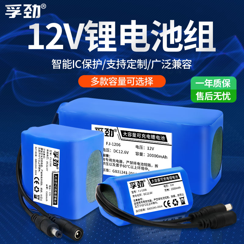 12v大容量洗车机锂电池组