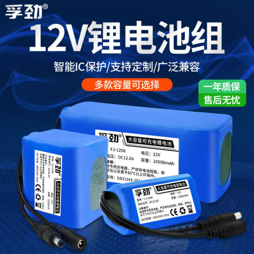 12v大容量洗车机锂电池组