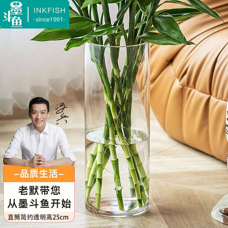 墨斗鱼玻璃花瓶透明植物插花瓶水培容器大花瓶装饰客厅摆件直筒款怎么看?