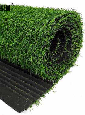 安赛瑞仿真草坪人造塑料假草坪2×10m绿化装饰2cm加密春草700585