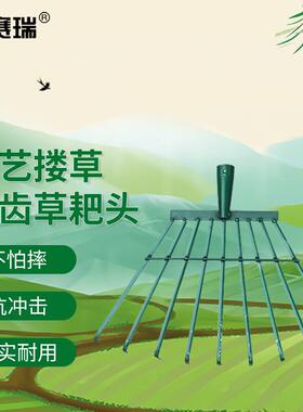 安赛瑞铁草耙头晒谷搂落叶草坪清理工具9齿替换头绿色5E00529