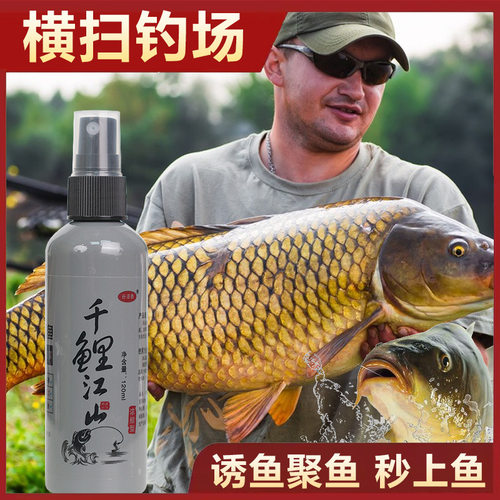 抖音爆款鲤江山野钓黑坑鲫鲤草鳊淡水鱼类综合饵拉饵搓饵钓鱼饵料