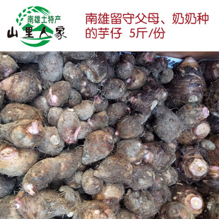 南雄芋头红芽芋仔新鲜现挖粉糯小芋农家种植韶关粤北红牙芋包邮