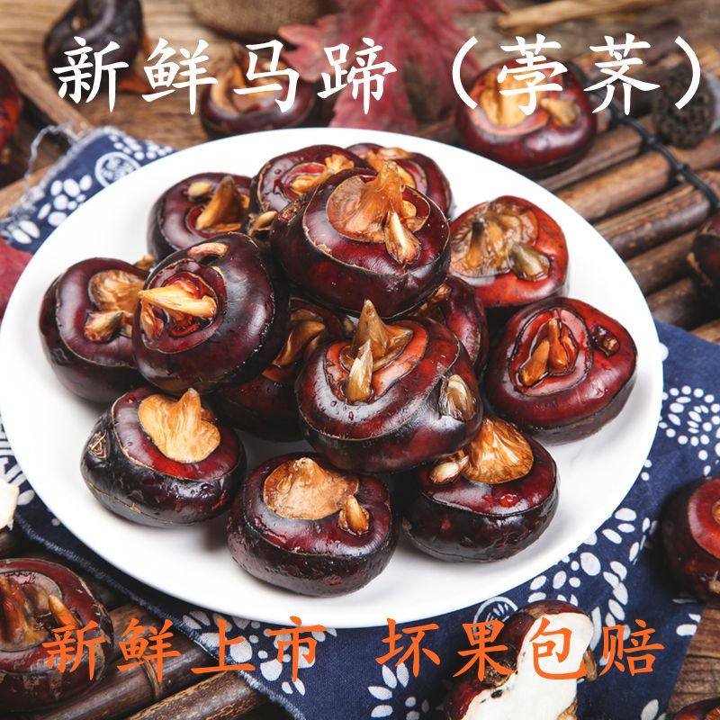 新鲜中马蹄果荸荠地梨地栗即食水果蔬菜农家特产现货包邮5斤装